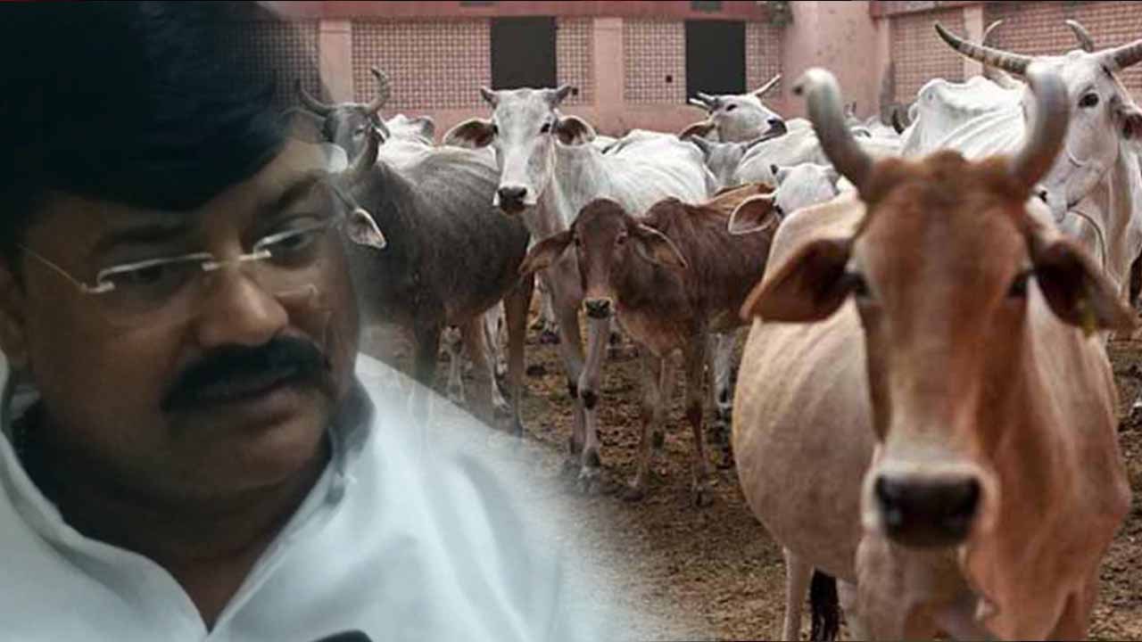 यूपी के जेलों में कैदी करेंगे गौ सेवा, सरकार ने जारी किया फंड