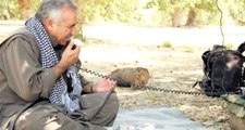 Mehmetçik Vurdu, PKK Elebaşı Karayılan Telsizden İtiraf Etti: Kandil de Zap da Düşer