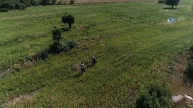 Yağmurlar Çörek Otu Üreticisinin Yüzünü Güldürdü. Çörek Otu Tarlaları Havadan Böyle Görüntülendi