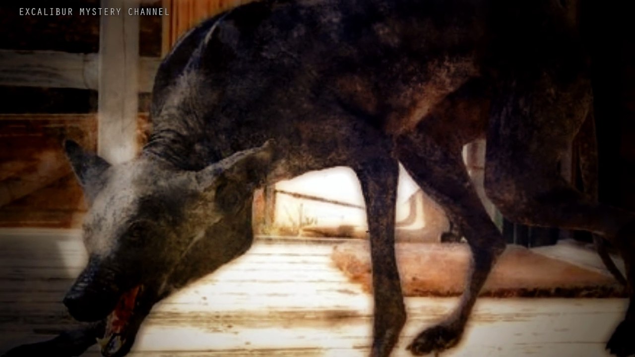 10 unheimliche mystische Kreaturen dieser Welt