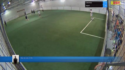 But de loic (1-6) - Colombie Vs Japon - 05/07/18 20:00 - CDM 2018 Poule H 05/07 - Poitiers Game Parc