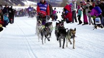 La Grande Odyssée Savoie Mont Blanc - Les mushers en parlent - EN