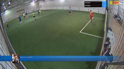 Buzz de valentin - Pologne Vs Sénégal - 05/07/18 20:30 - CDM 2018 Poule H 05/07 - Poitiers Game Parc