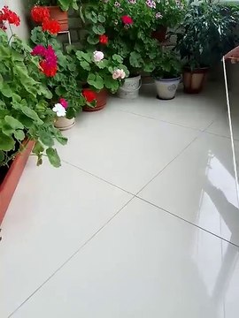 Technique pour avoir un pot de fleur suspendu