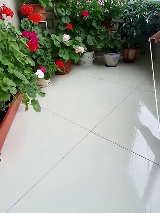 Technique pour avoir un pot de fleur suspendu