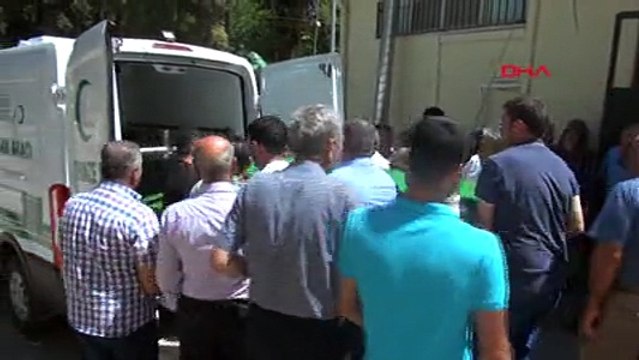 Gaziantep'te arıların soktuğu yaşlım adam öldü