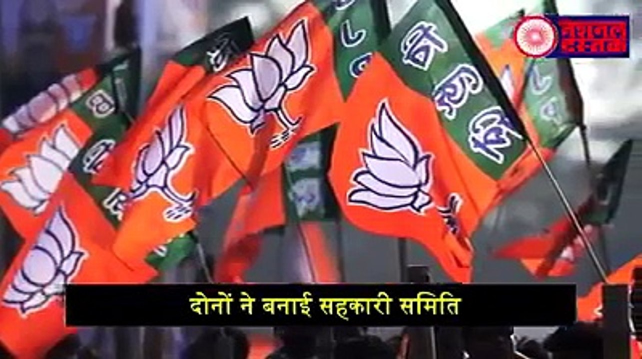 BJP flag