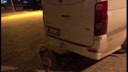 Minibüste 63 Kilogram Eroin Ele Geçirildi - Van