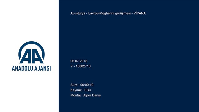 Lavrov-Mogherini görüşmesi - VİYANA