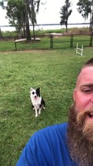 Son chien est parfaitement dressé... Démo incroyable