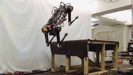 This 'blind' robot can jump on your table and chase you in the dark even when its leg is broken