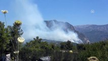 Antalya'da orman yangını