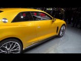 Audi Sport Quattro Concept Review at IAA 2013 | AutoMotoTV