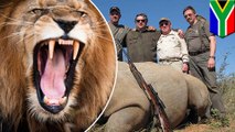 Rhino poachers mauled to death by lions