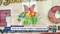 Smart Shopper Deal of the Day: Save 40% at The Butterfly Garden Inn at Oak Creek Canyon