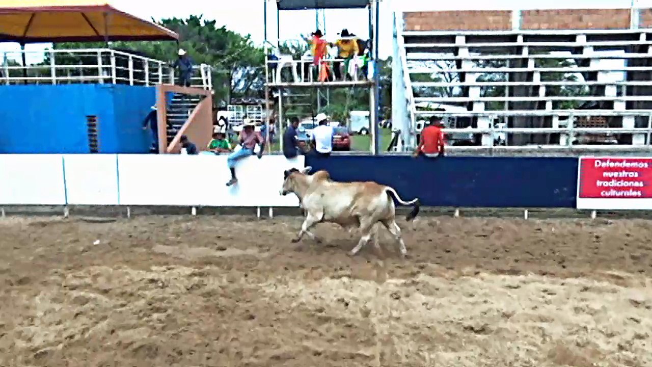 COPA AMÉRICA DE COLEO