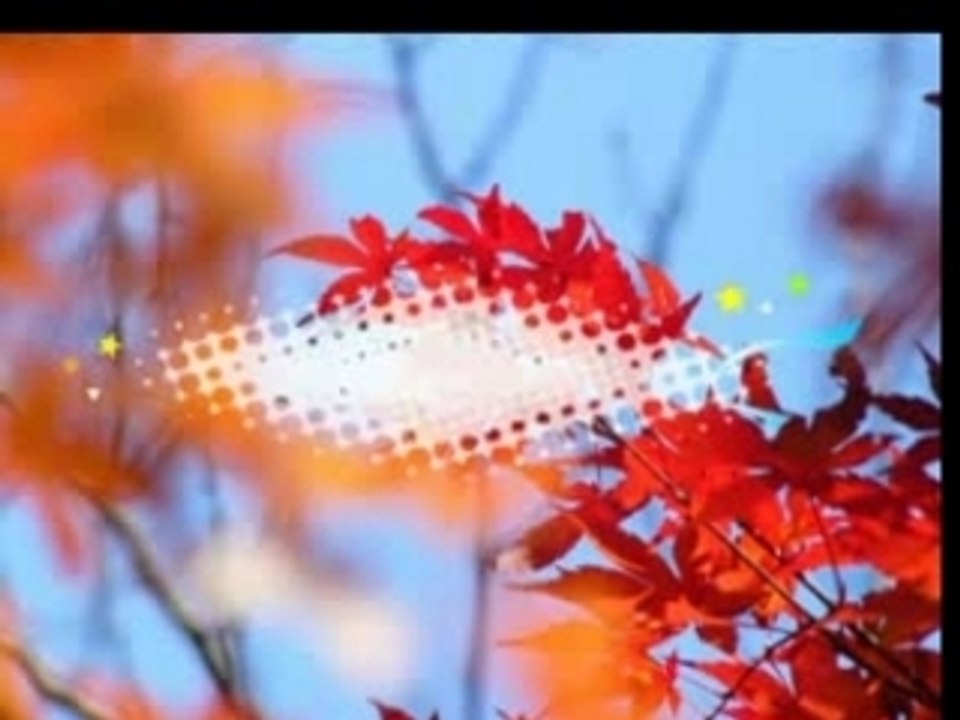 Der Tages Witz von Asi Dad  (Folge 6)