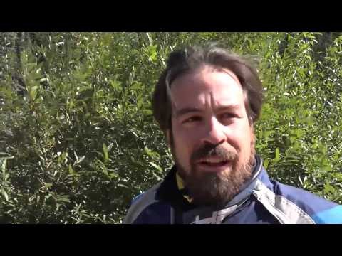 BMW Motorrad International GS Trophy North America 2014, day 3 | AutoMotoTV