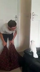 La réaction improbable d'un cacatoès face à un tour de magie