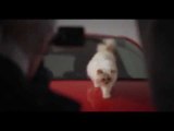 Choupette & Opel Corsa by Karl Lagerfeld | AutoMotoTV