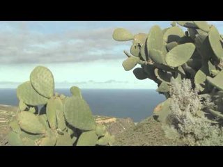 Mercedes Benz Impressions II Driving Event Tenerife