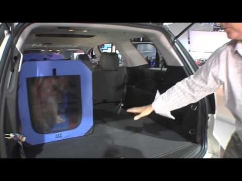 Top 10 Tips for Travelling with Pets - accommodate traveling with pets