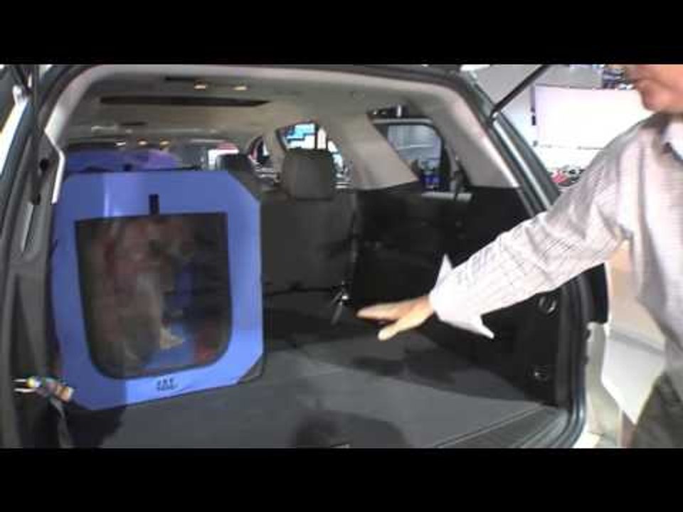 Top 10 Tips for Travelling with Pets - accommodate traveling with pets