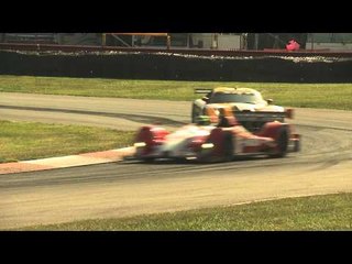 Viper GTS-R ALMS Warmups