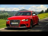 Audi RS4 Avant - When the Dog is in a Hurry