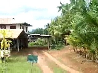 Vision panoramique du centre de Cacao (Guyane française)