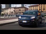 The new Fiat Panda K-Way® on the runway in Milan | AutoMotoTV