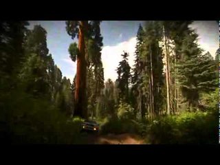 2010   2012 Toyota 4Runner   Active Trac ATRAC