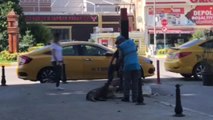 Temizlik İşçisi, Uyuyan Köpeğe Süpürgesi ile Masaj Yaptı