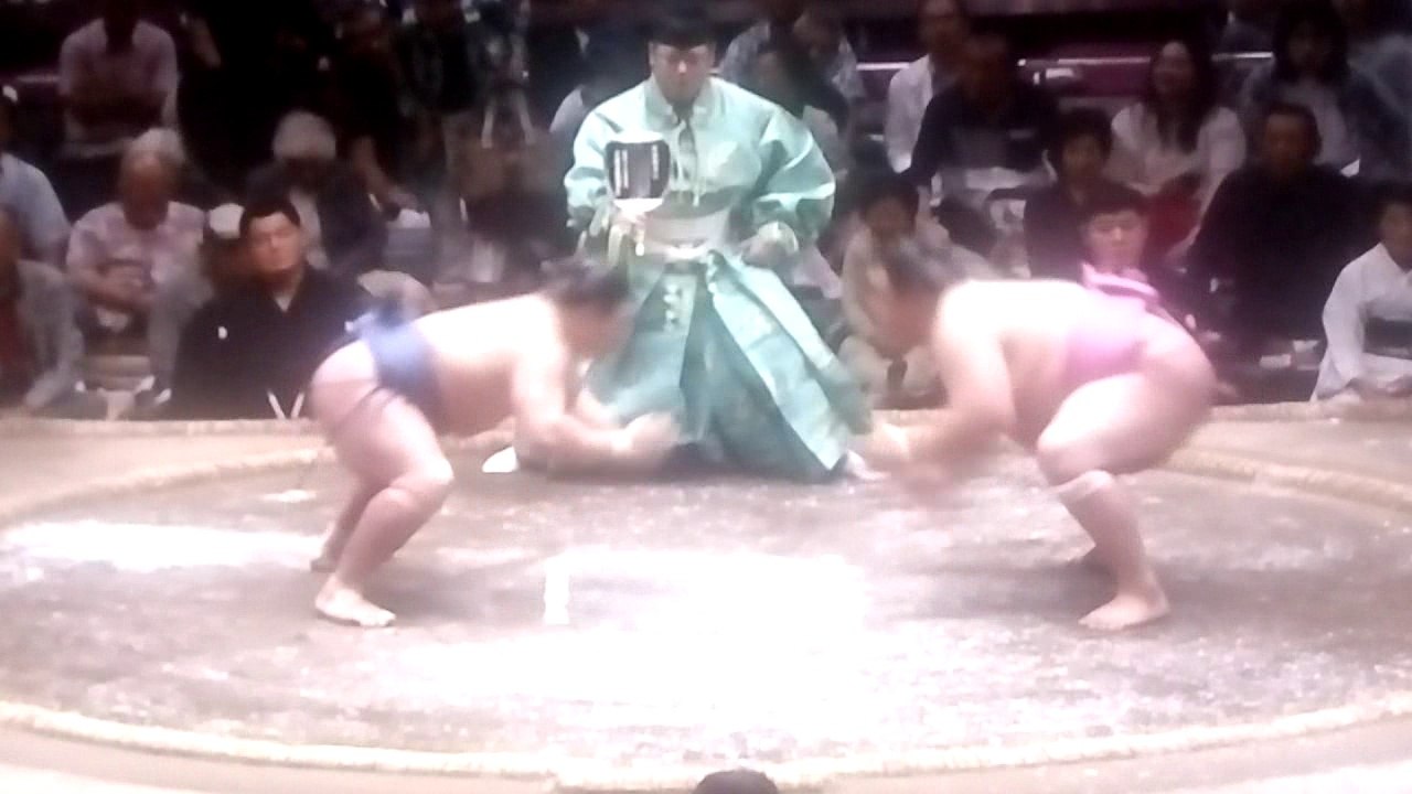 照強 vs 英乃海 2018年大相撲夏場所13日目 20180525