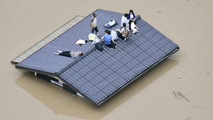 Ливни в Японии: десятки погибших
