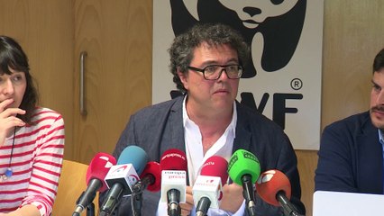 WWF pide un "eje ibérico" para luchar contra incendios