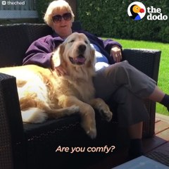 Senior Dog Always Visits His Favorite Neighbor CHEDDAR The Dodo