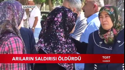 Eski MHP İl Başkanı Arıların Saldırısı Sonucu Hayatını Kaybetti