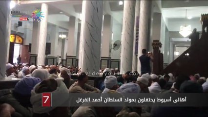 أهالى أسيوط يحتفلون بمولد السلطان أحمد الفرغل