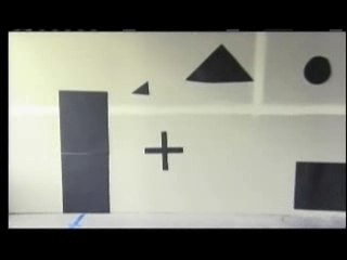 WIRED SCIENCE | Mixed Feelings | PBS