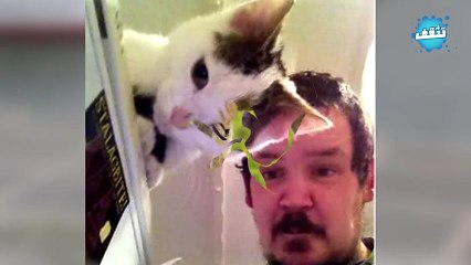 اتحداك ان تفهم هذه الصور من النظرة الاولى