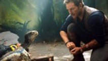 'Jurassic World: Fallen Kingdom' Passes $1 Billion In Ticket Sales at Worldwide Box Office | THR News