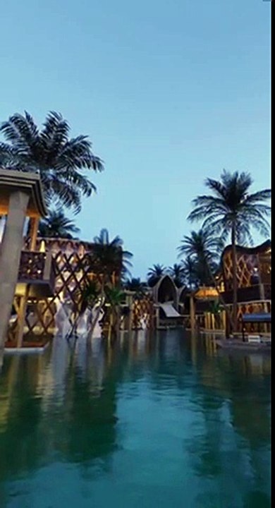 view5