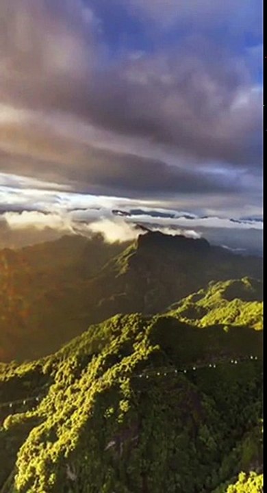 view7