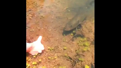 All he needs for a quick bass snatch are some quick hands.