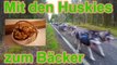 Mit den Huskies zum Bäcker / Hundetraining / Zughundesport / Nature Trails / Husky Hof / Husky Tour