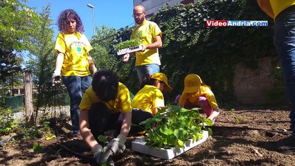 Télécharger la video: Andria: bambini e disabili coltivano l'orto sociale in città, speranza per un futuro migliore