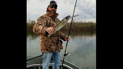 Musky fishing - throw large bait