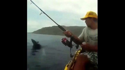 Tải video: Damn sharks. Fishing on a kayak is incredibly dangerous.