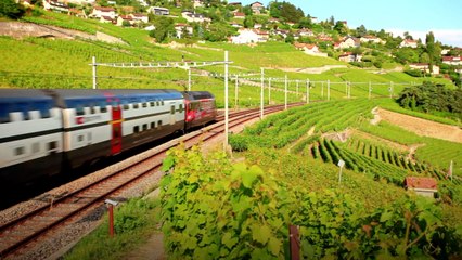 There's A Beer Train Coming To Napa Valley